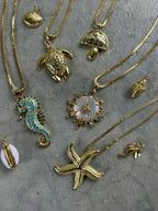 Jobos SeaHorse