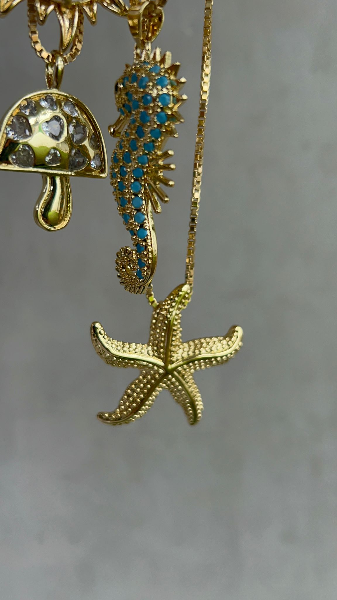 Jobos SeaHorse